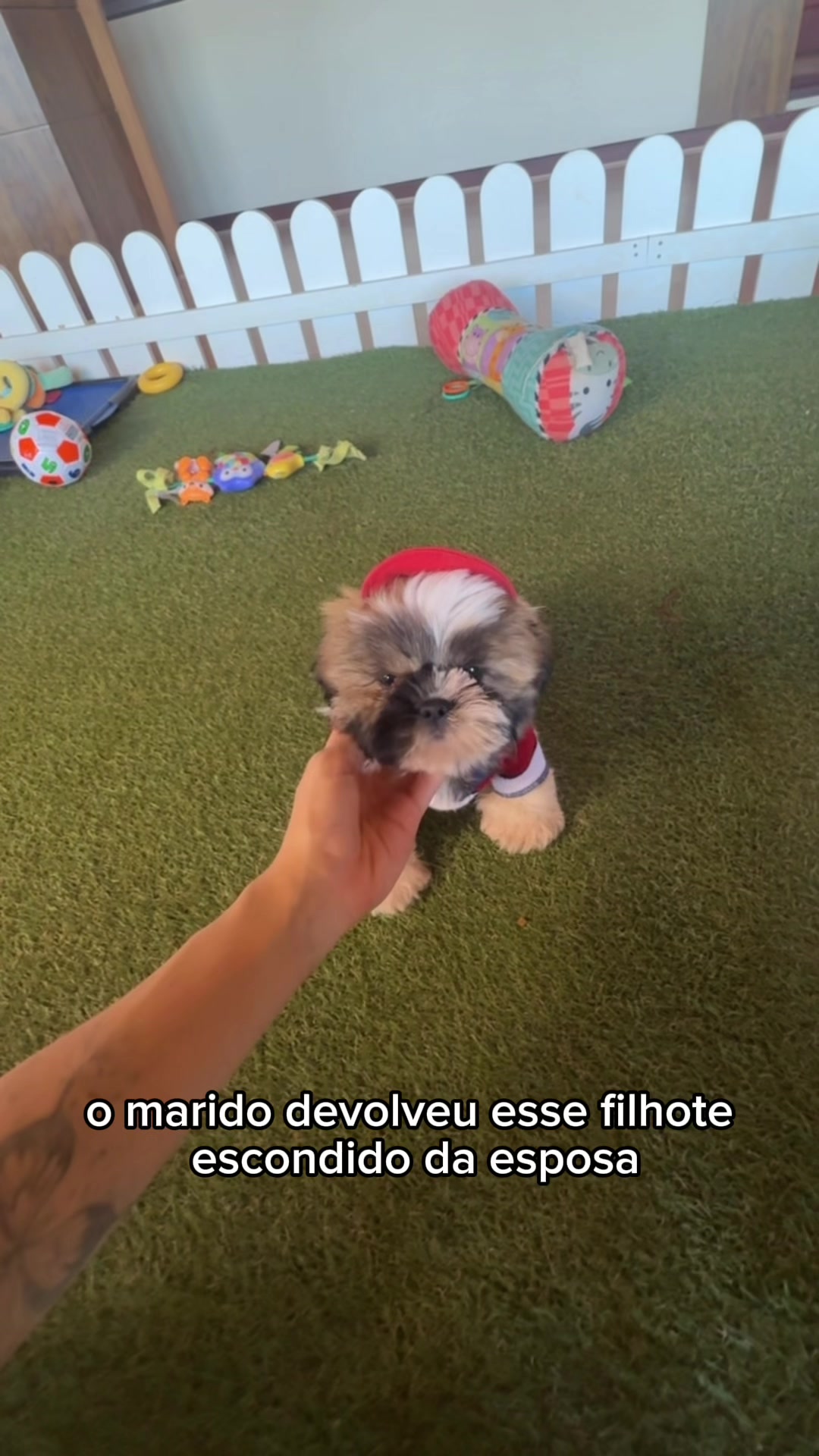 @Casa dos Ursinhos