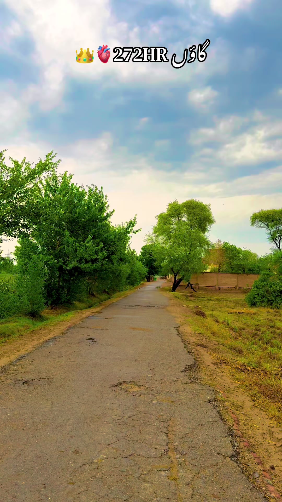 @پنجابی کلچر 🌾🍂