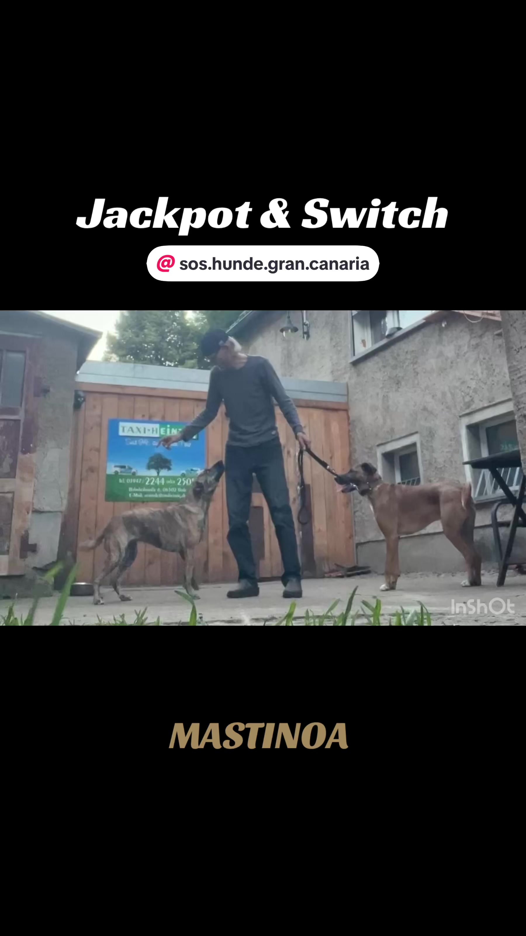 @MASTINOA pro