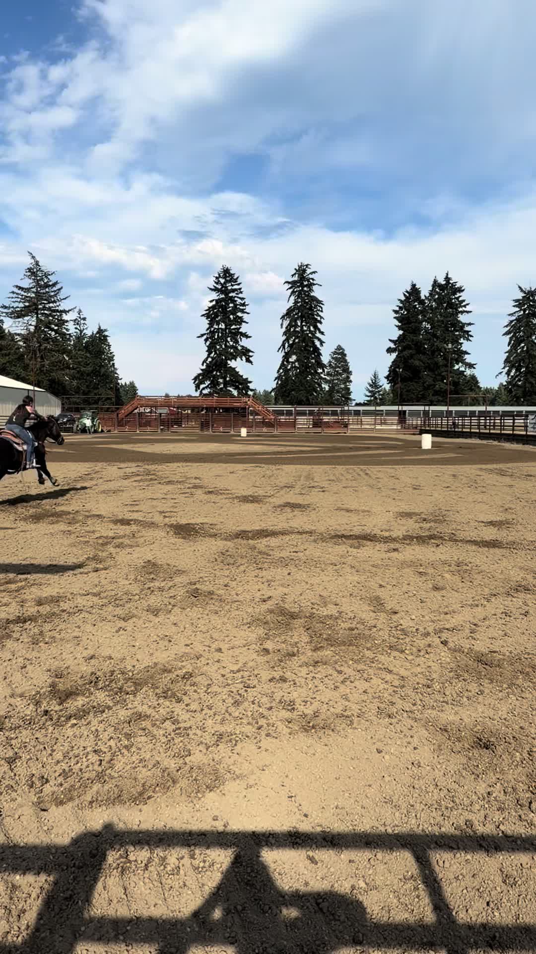 @TF Performance Horses