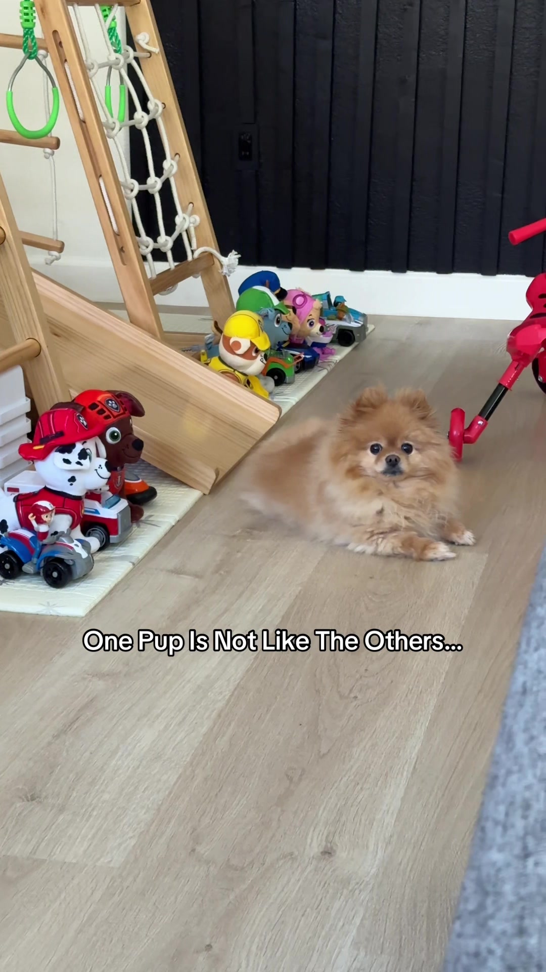 @Thao :|: BoyMomTok
