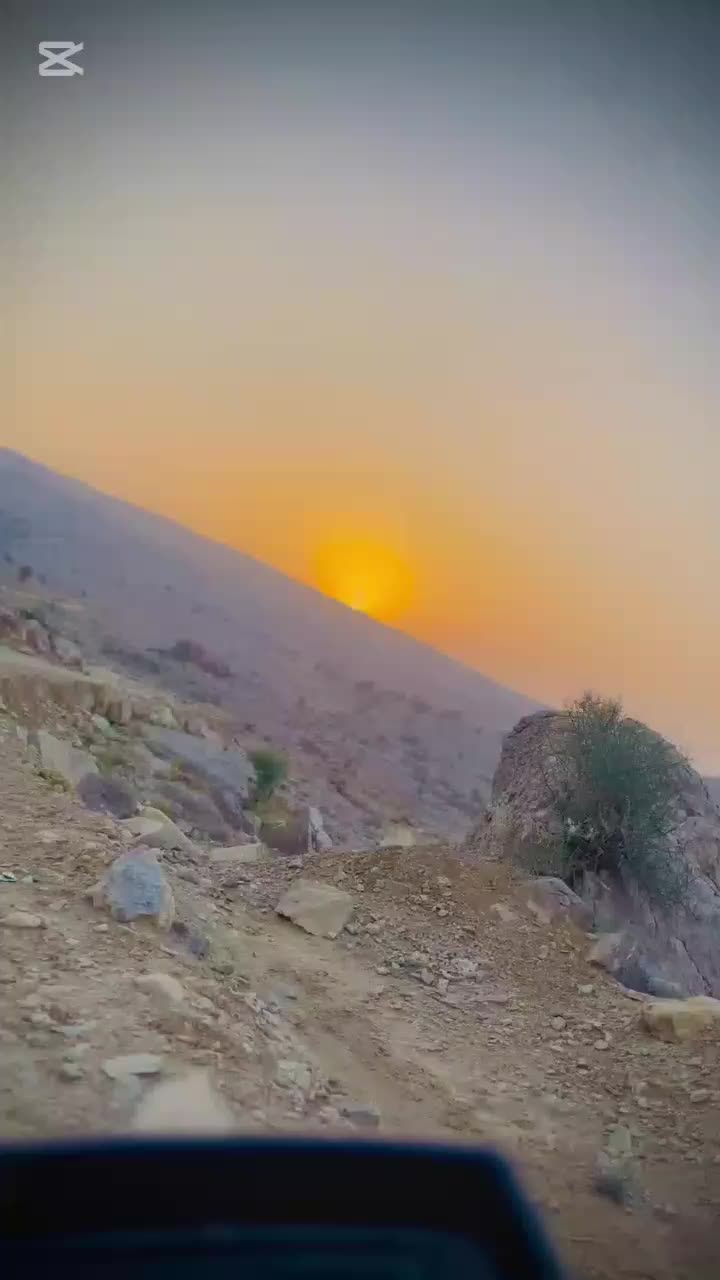 @ammir marri