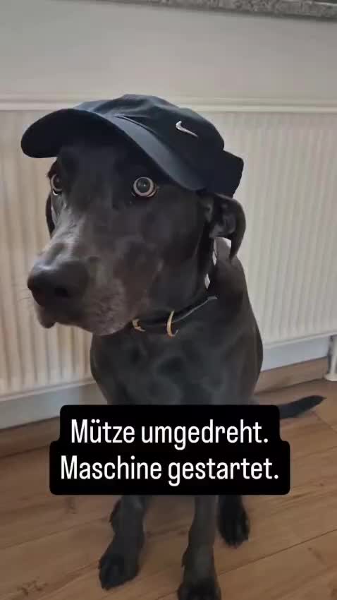 @Chris und Mona
