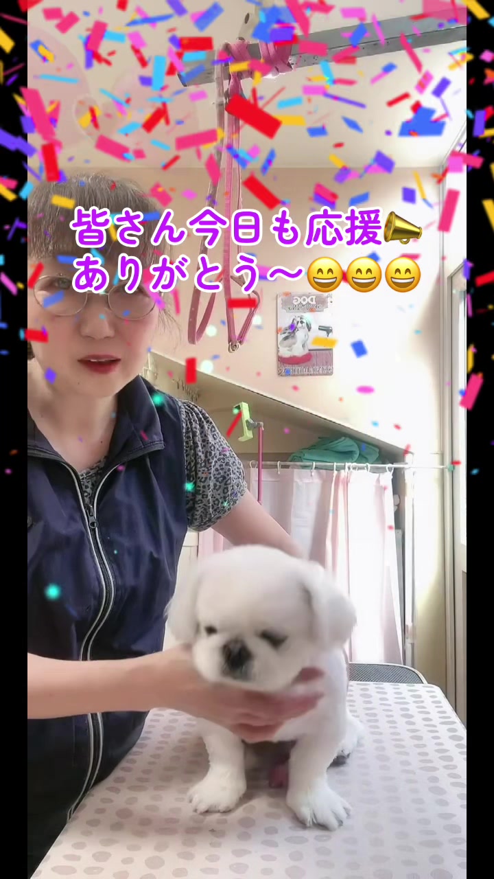 @❤️ぷりママ❤️
