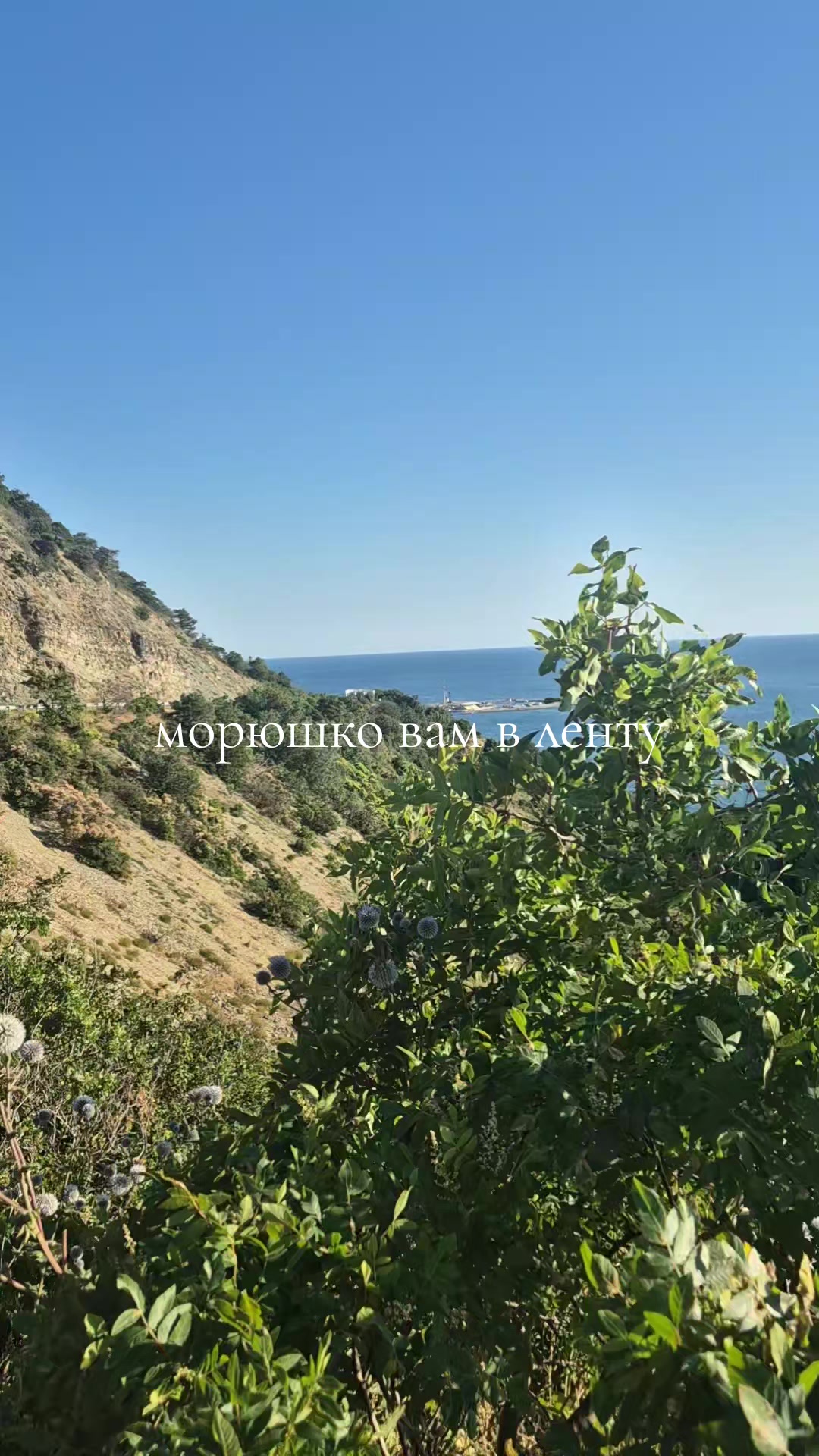 @smart_mom_anapa