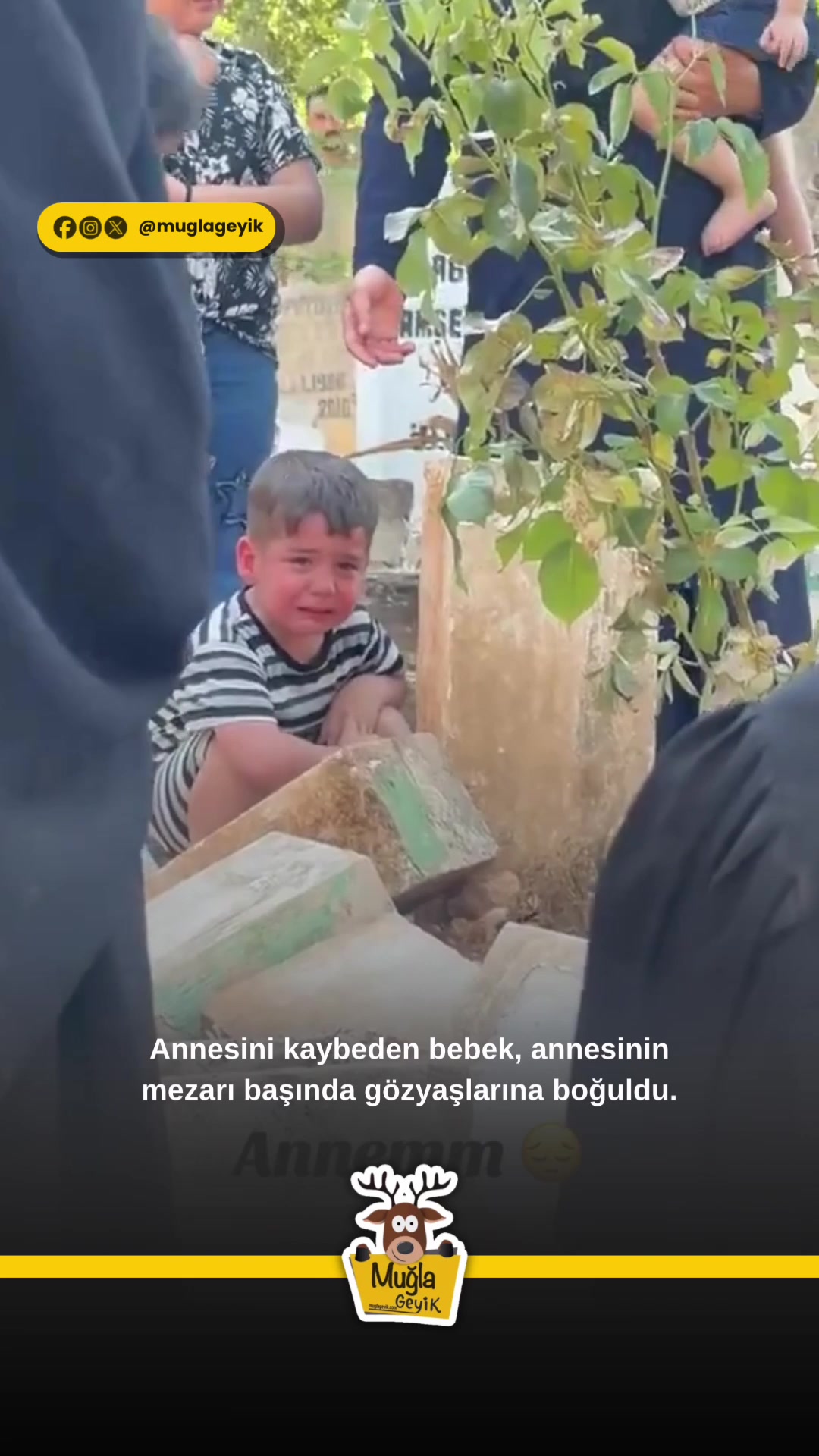 @Muğla Geyik