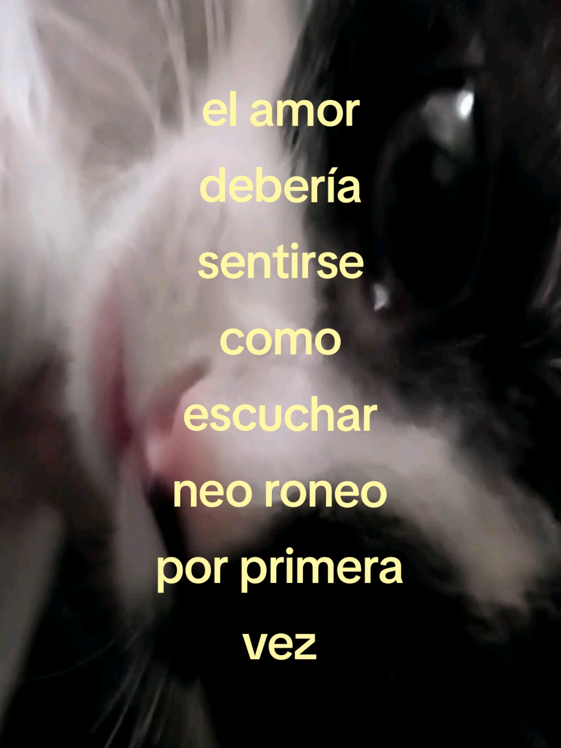 @Cristhian