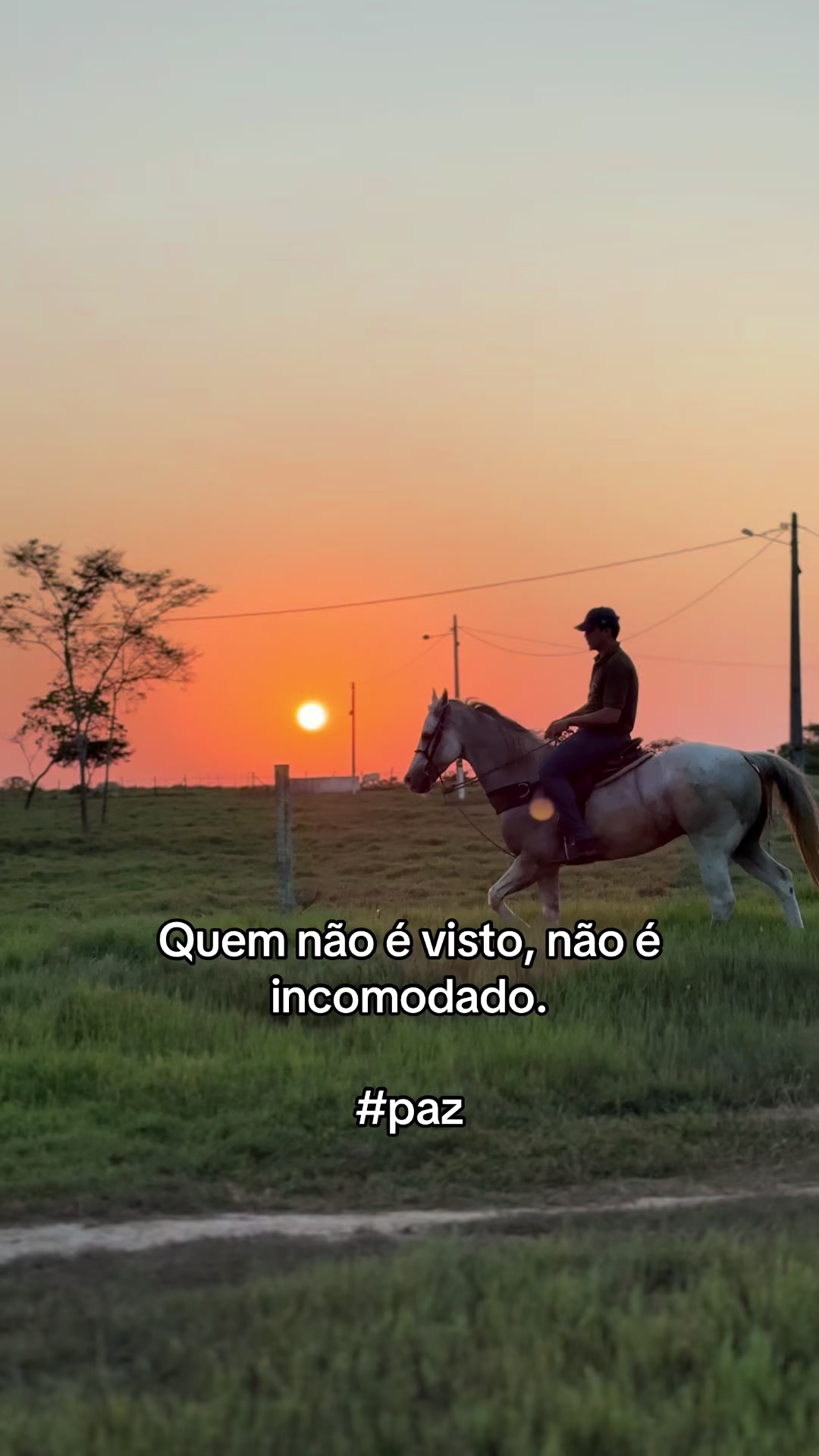 @Marcos Gomes 🇧🇷