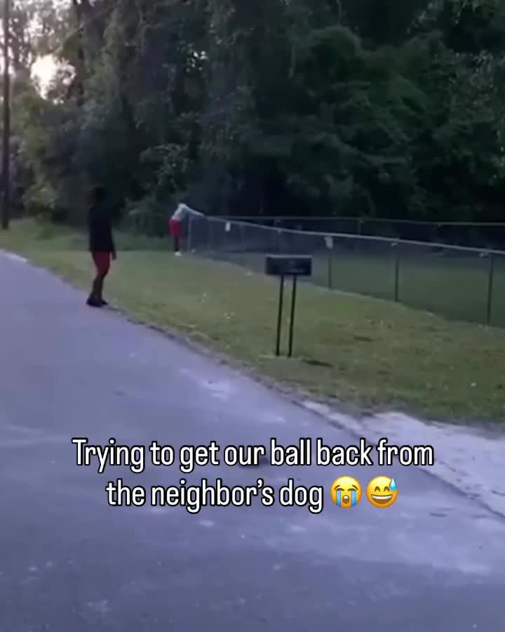 @Ultimate Puppies