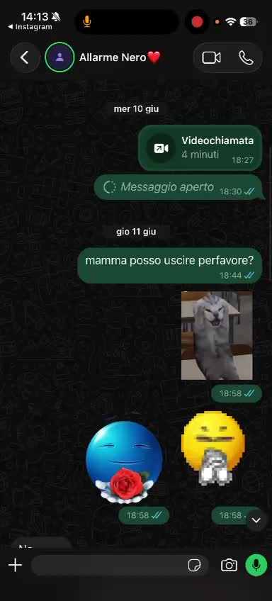 @Meshua Grosso🐸