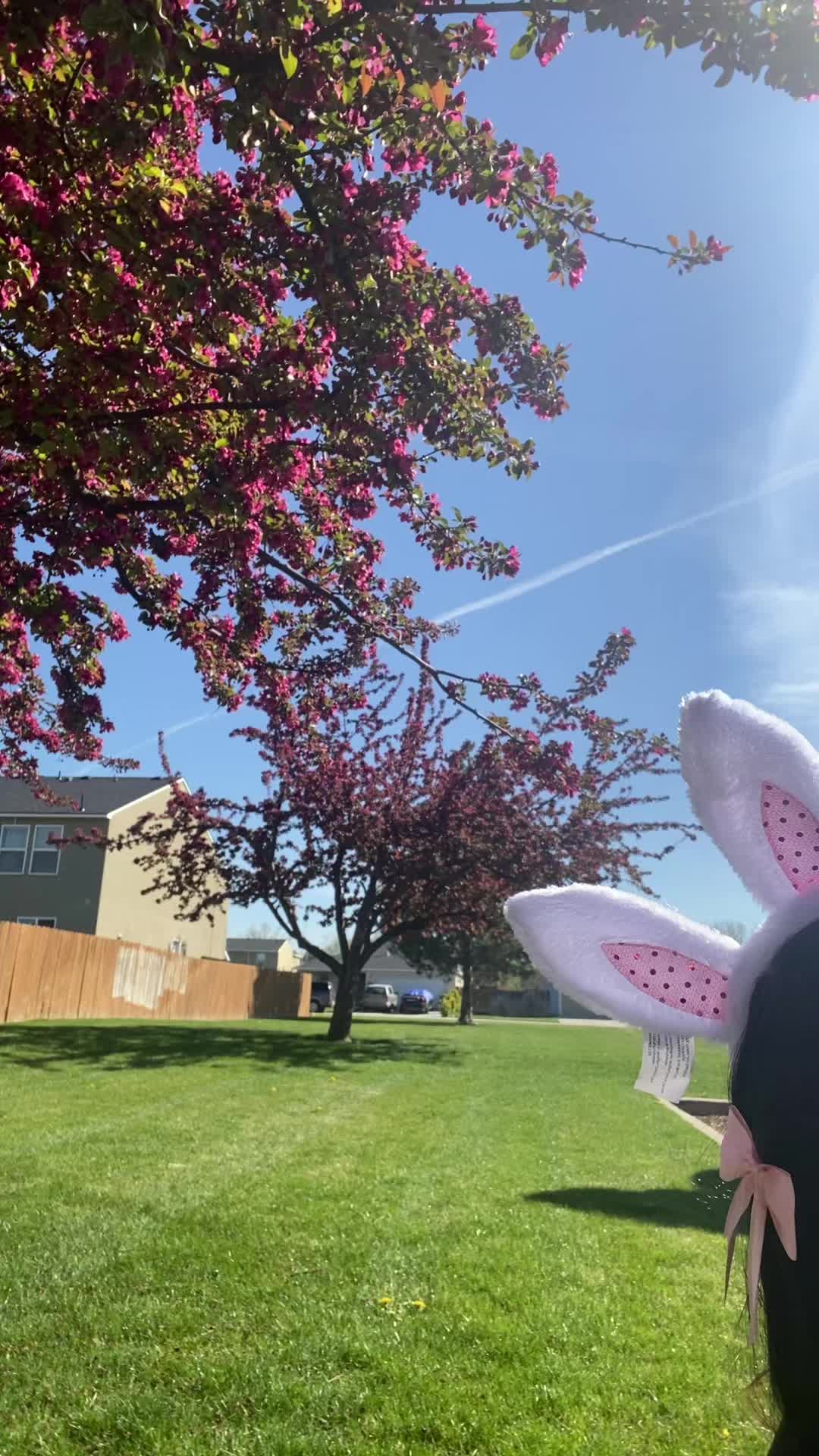 @pinkmochilove