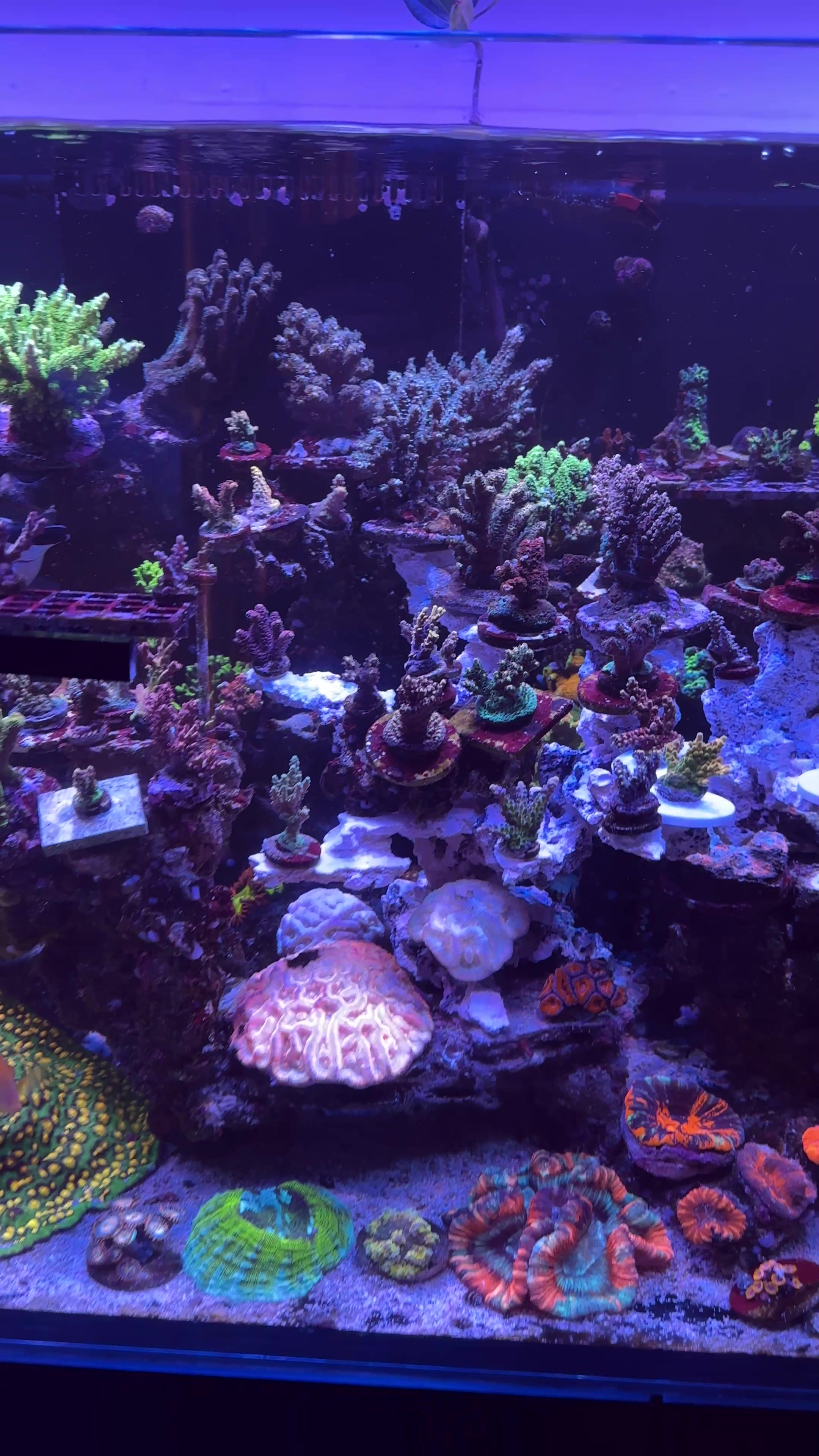 @SaltWaterShane