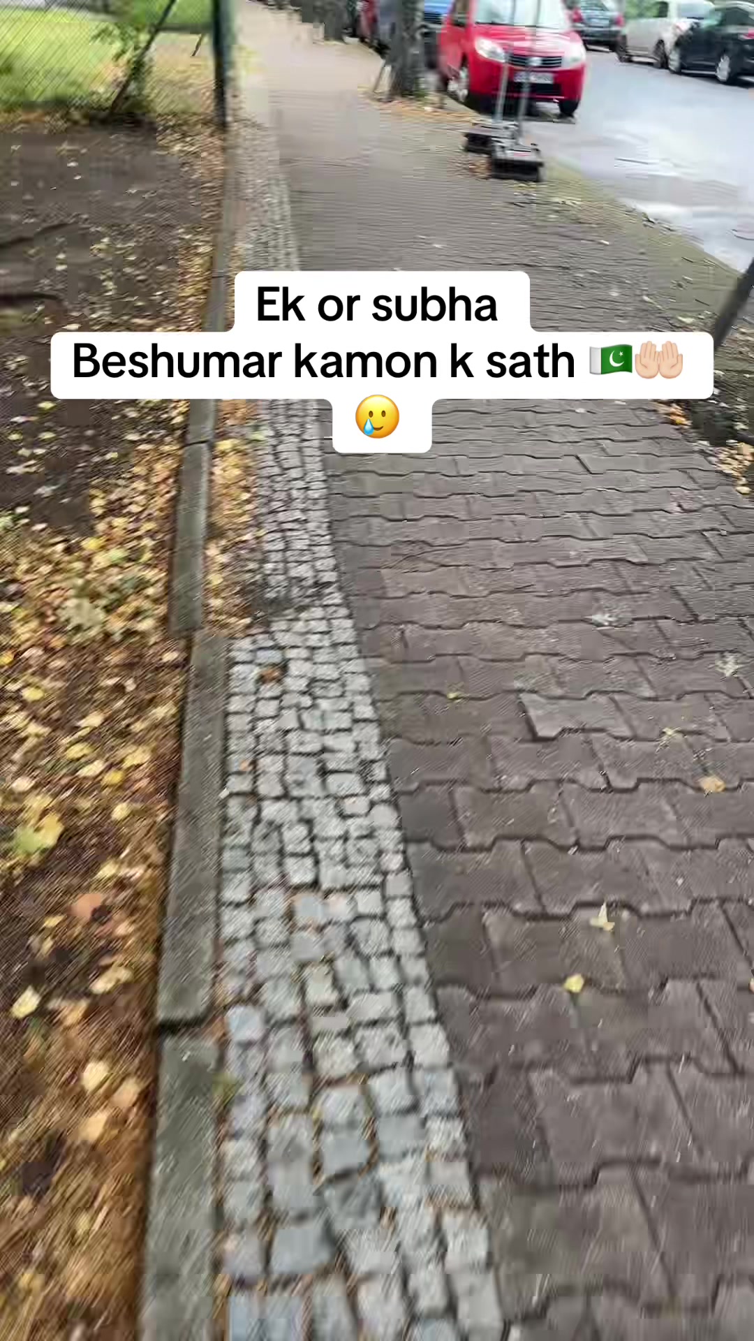 @MomentsOfGermany🇩🇪🇵🇰❤️
