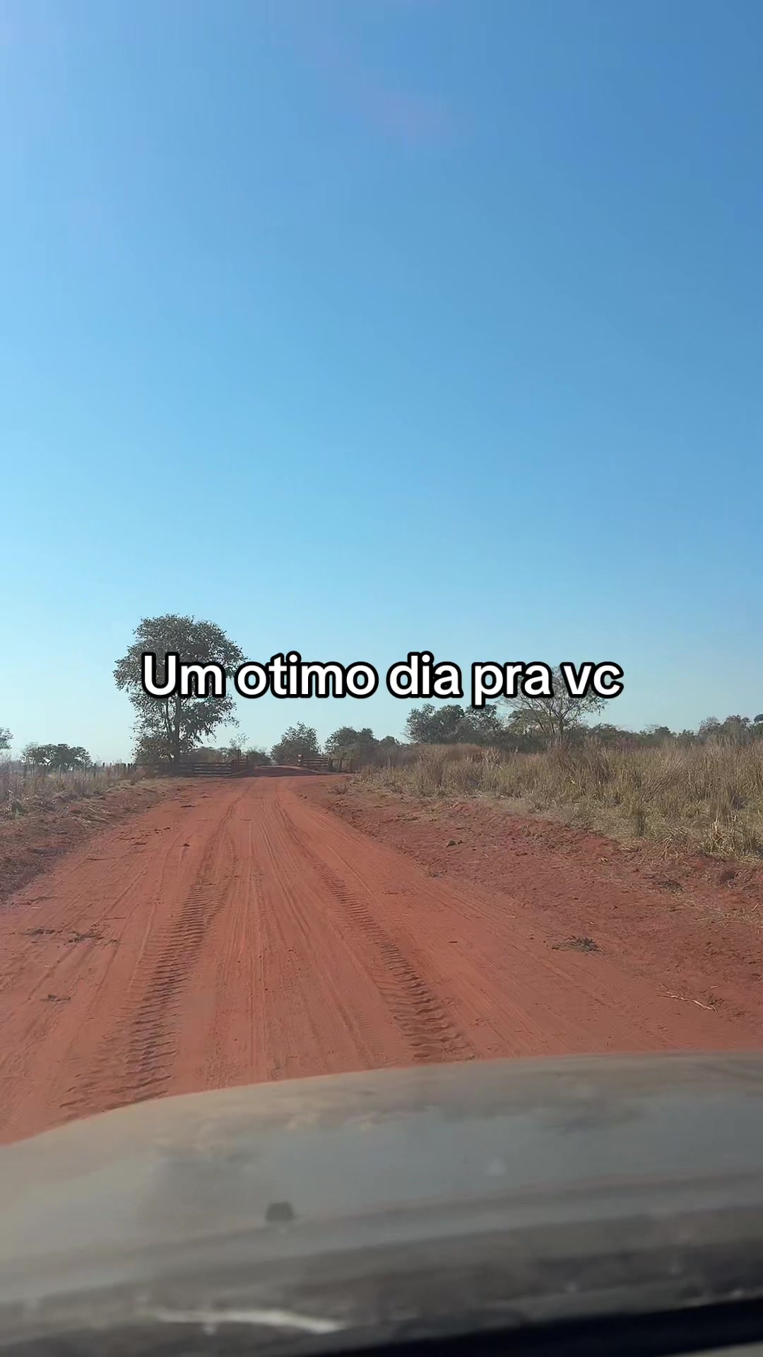 @Lucia Branca de Neve
