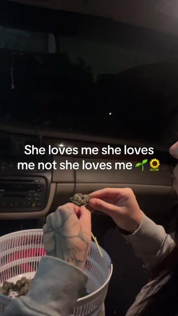@Bambiii