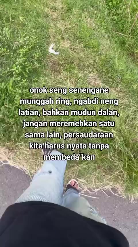 @Rezabaik