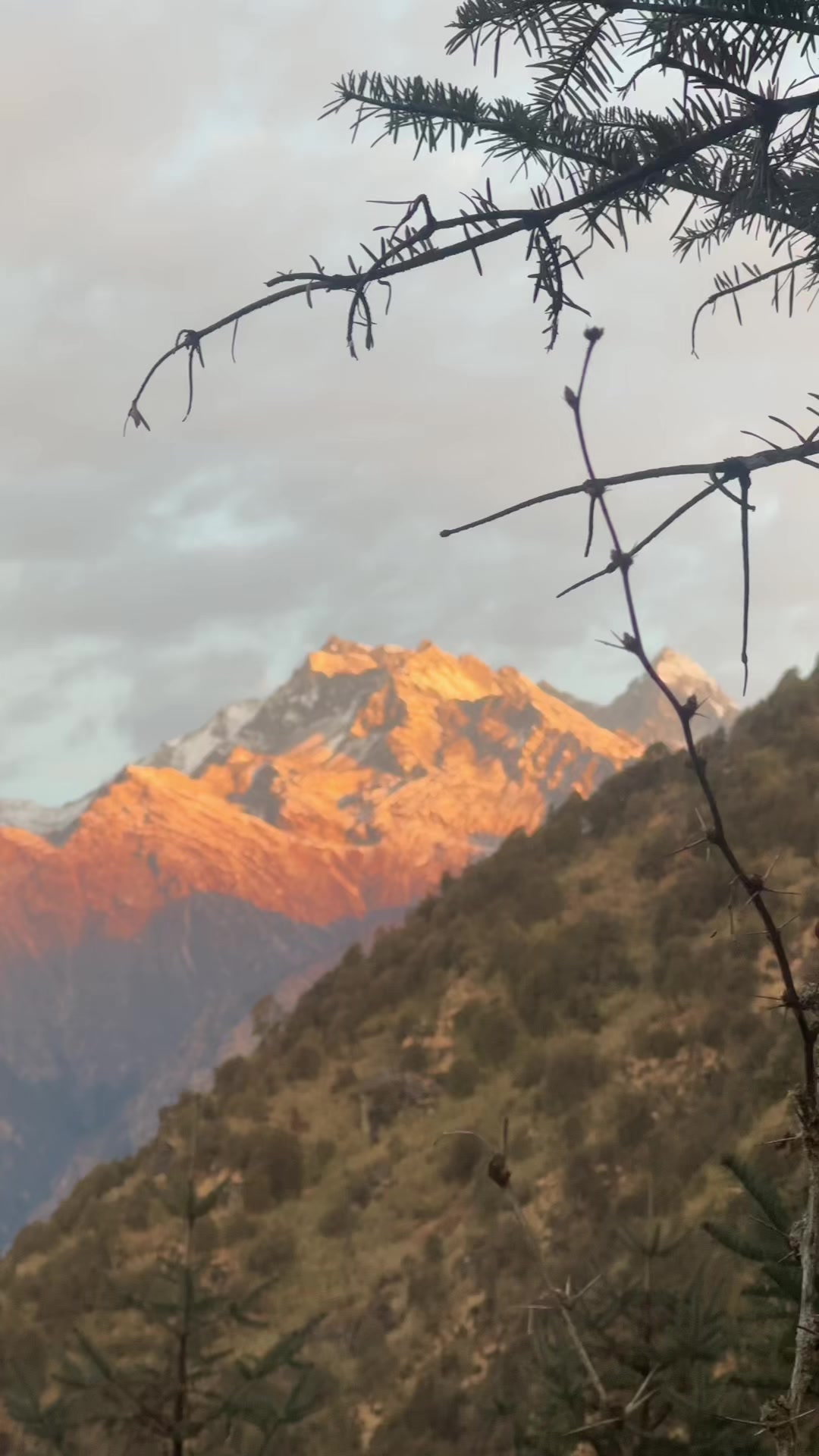 @Rahuul