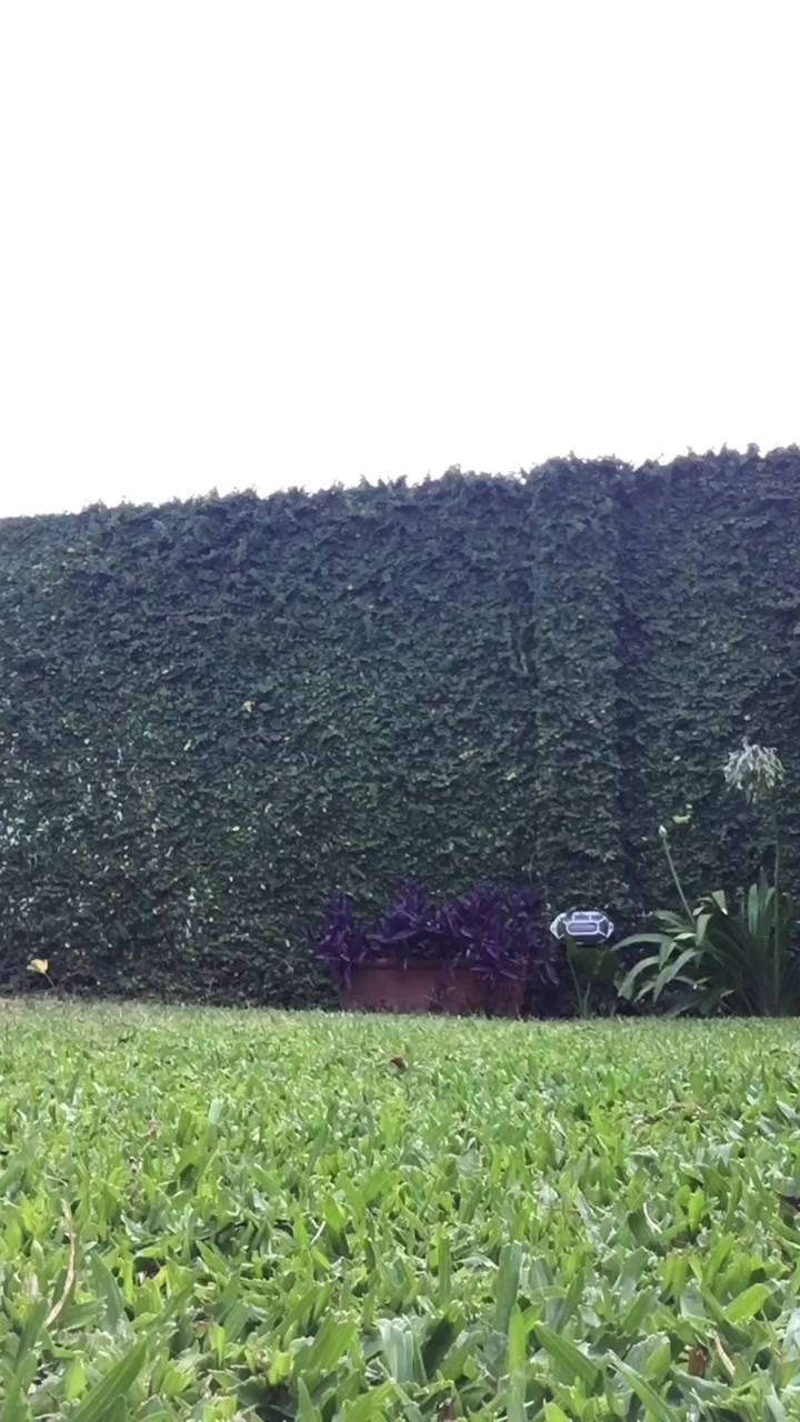 @pawless.naomi