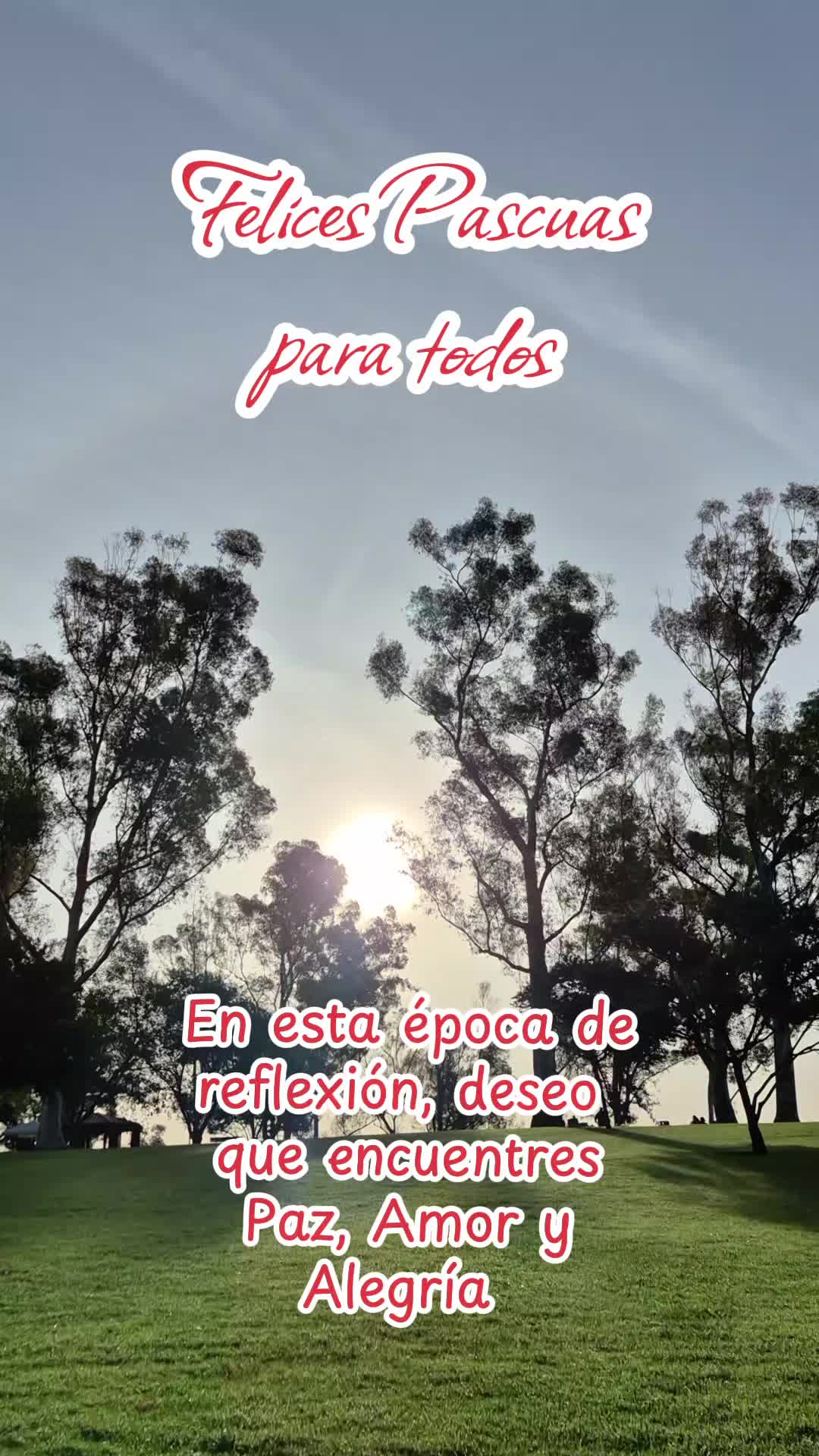 @Angeles BE 🌎