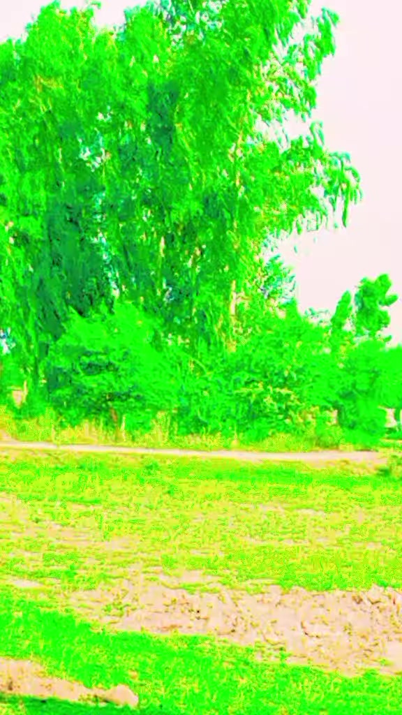 @Rai Toqeer
