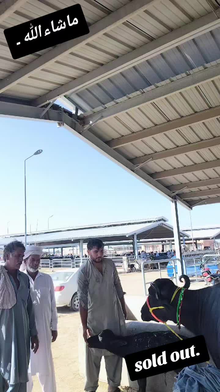 @💖🐄یوسف خان گوندل الہ 💖🐄