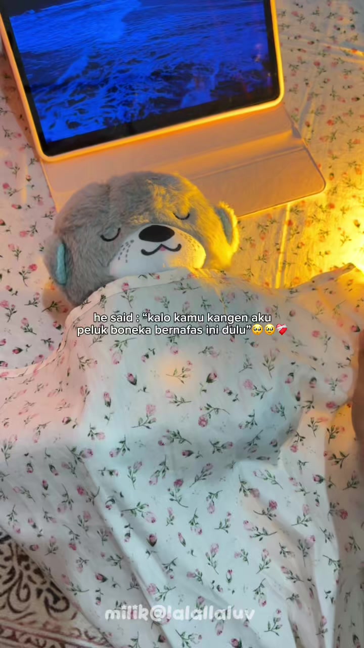 @inspirasi gift lucuu🧸 ·˚ ༘
