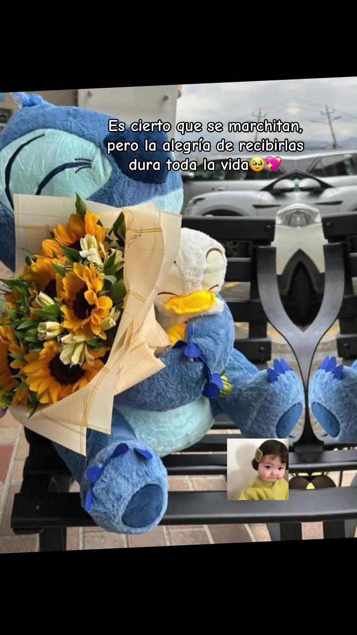 @dayana