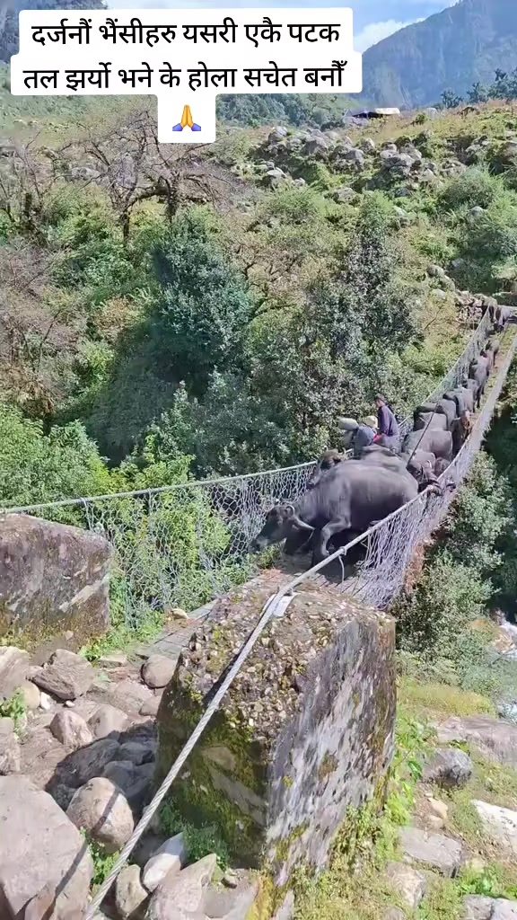 @तेJENDR@🇳🇵🇰🇷 क्षेत्री