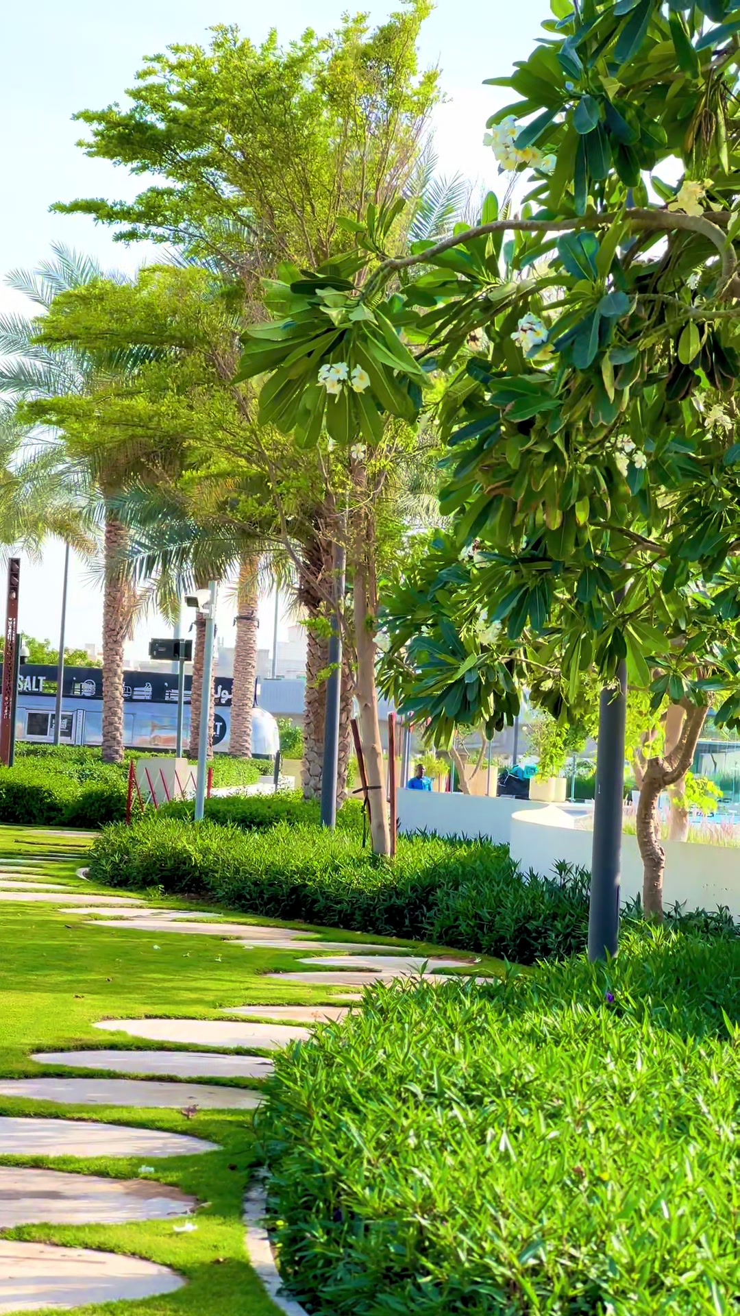 @thehammadgillani