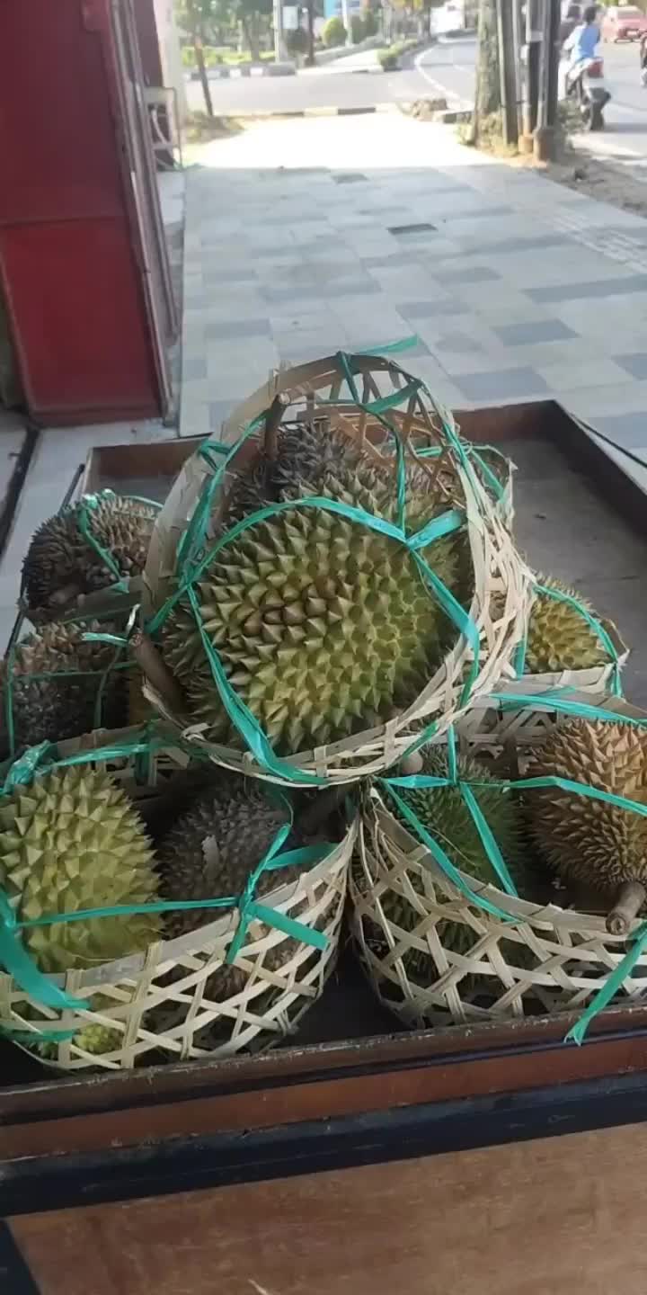 @Kenzhi Durian Tuban