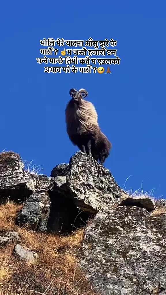 @मनछुनेलाईनहरू🥺