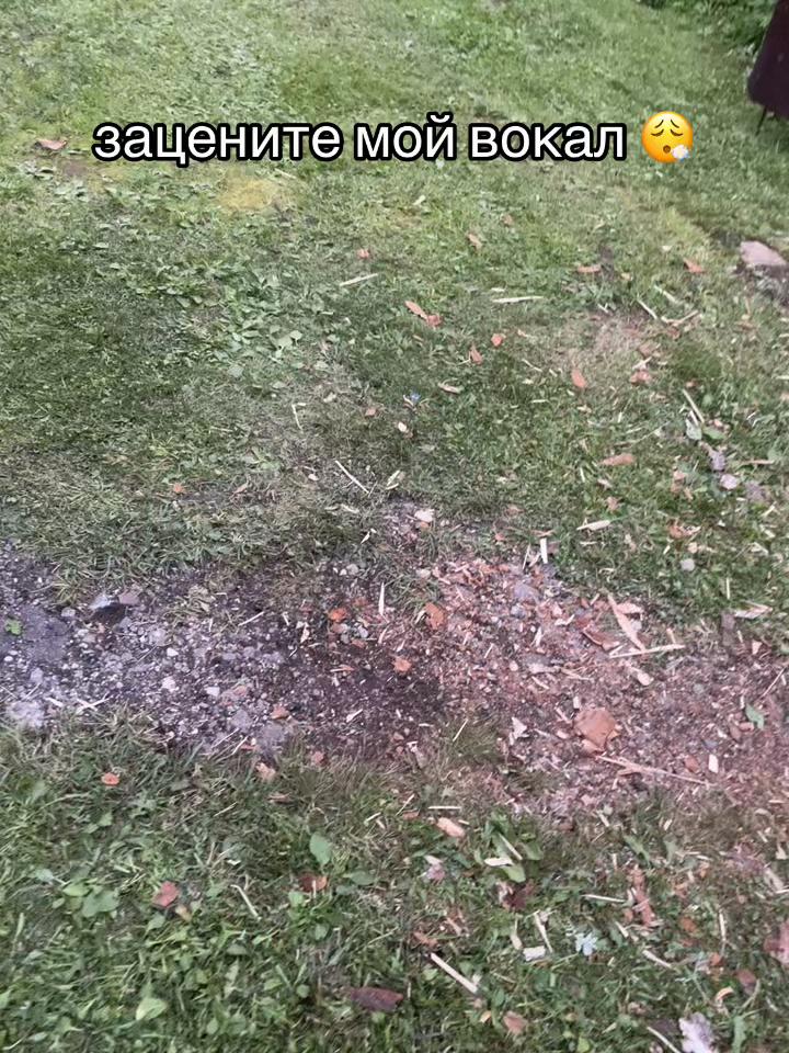 @шишка#кузнецкий