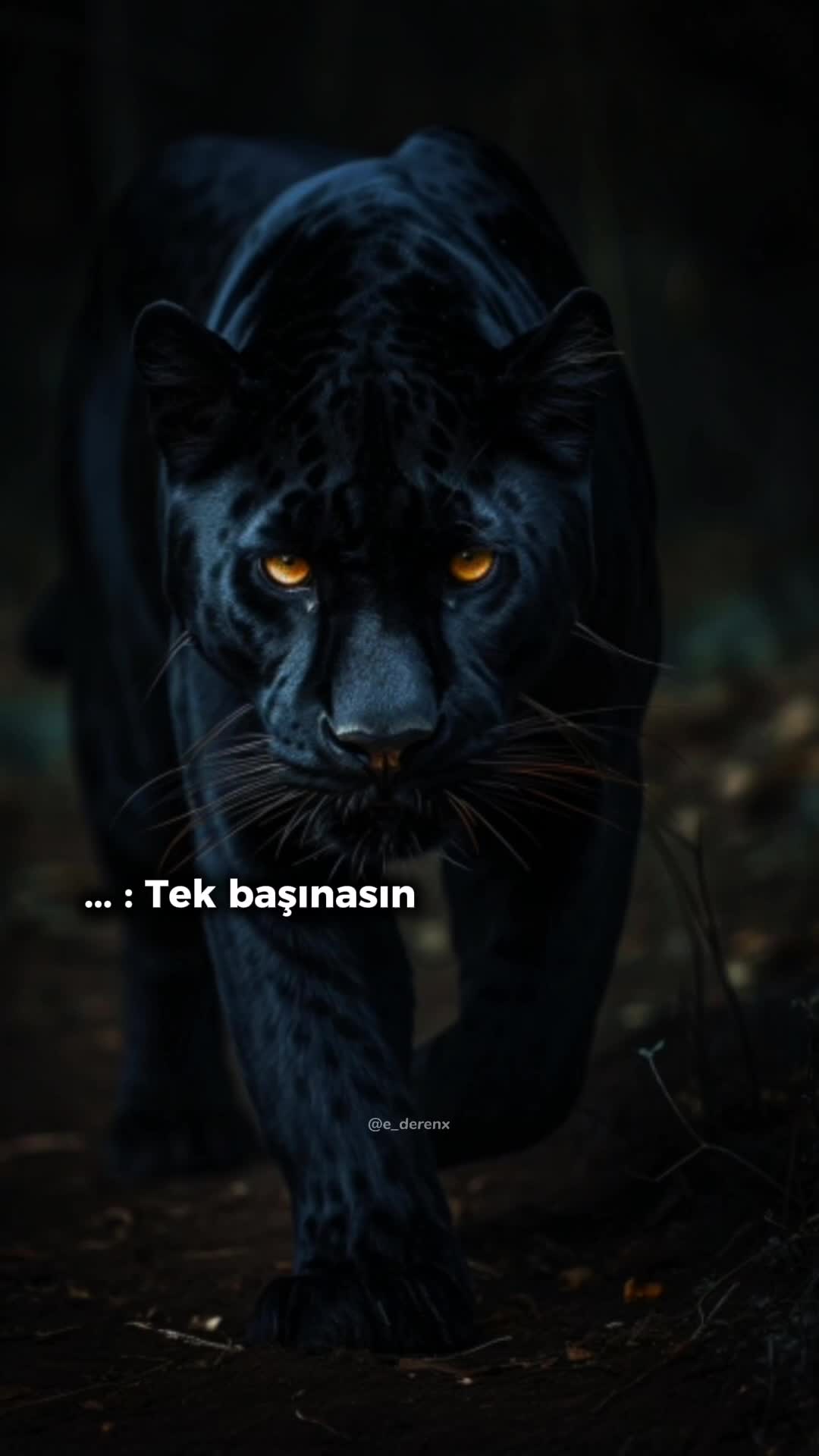 @Mavişş26