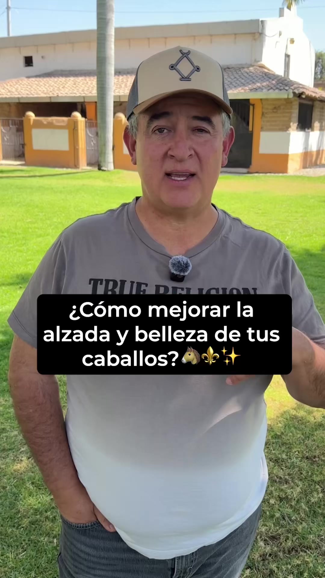 @Agua Zarca, Caballos Españoles