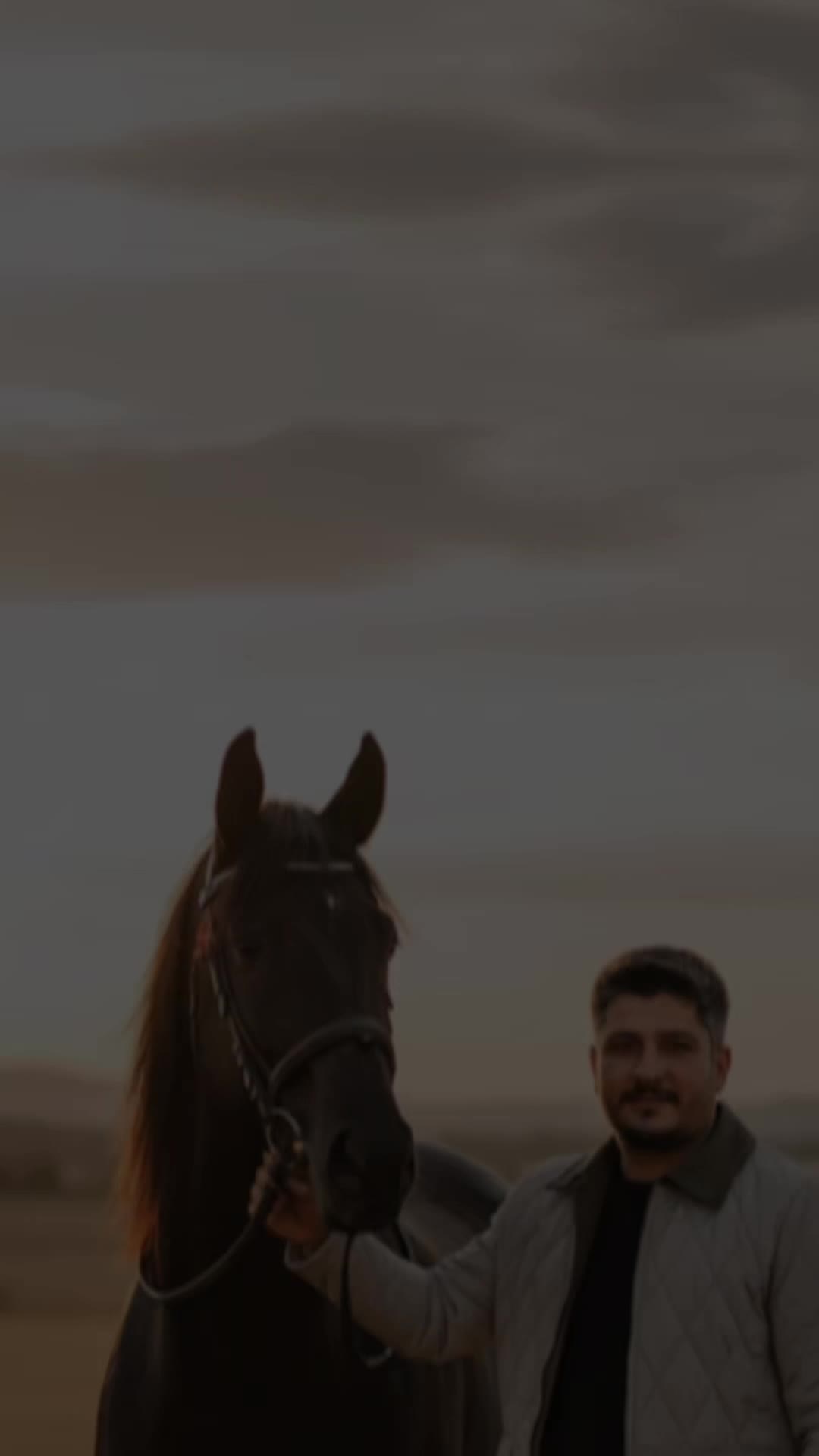 @Salih Yavuz