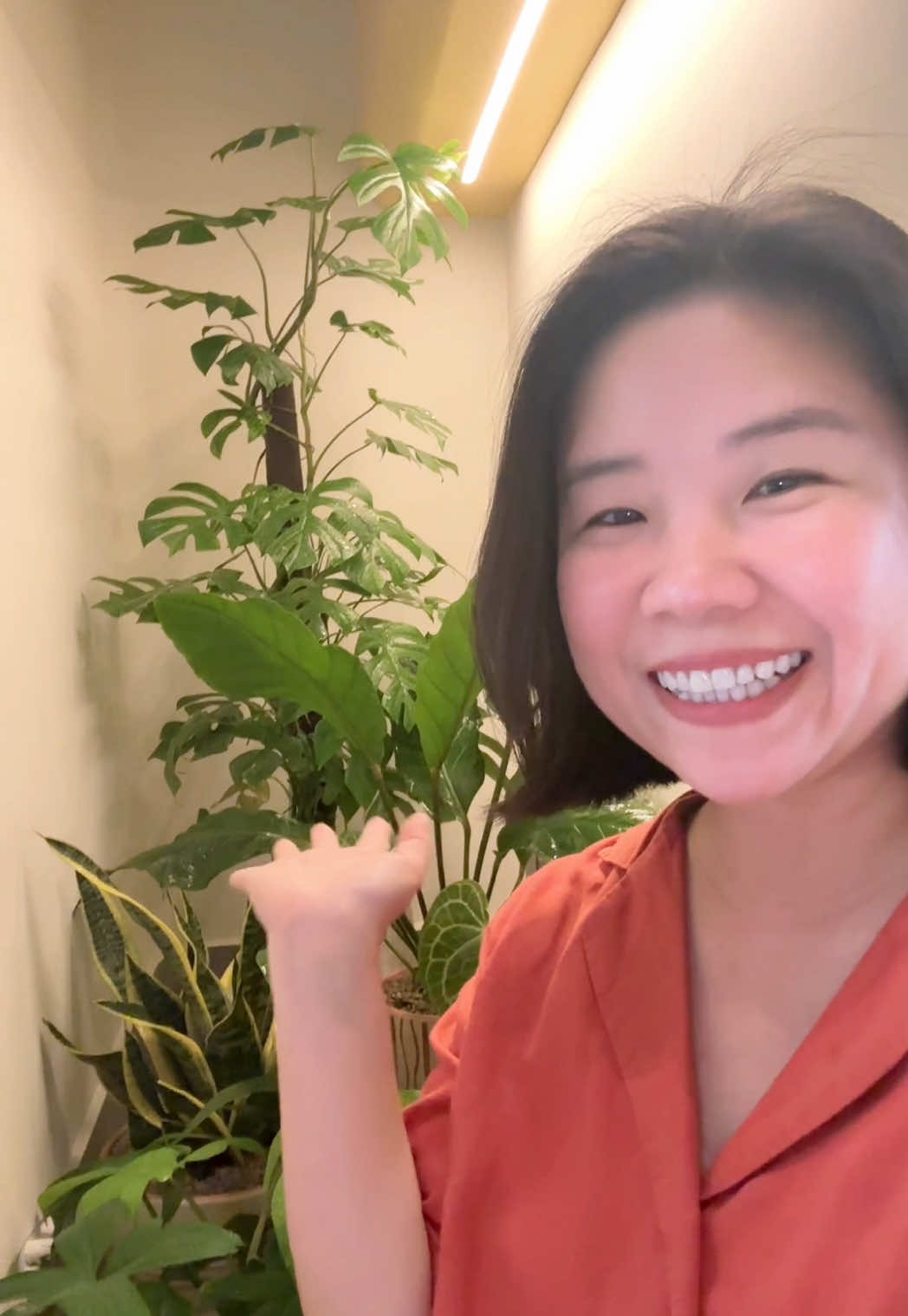 @Châu muối