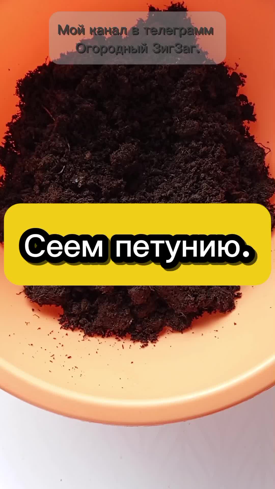 @Ogorodozigzag
