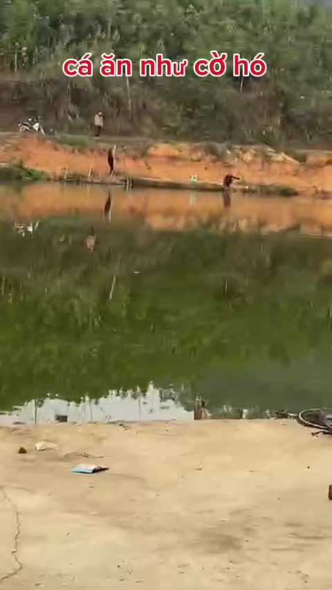 @Đồ câu nga hoàng