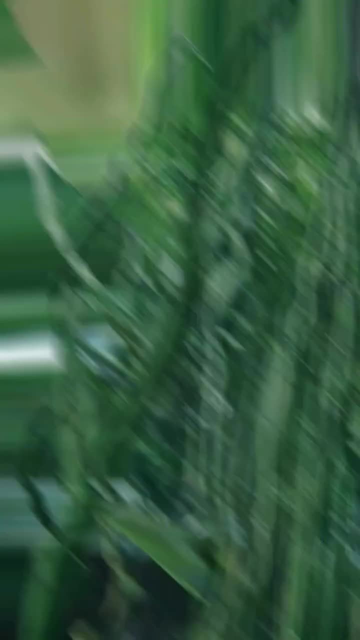 @yui2mamaaa