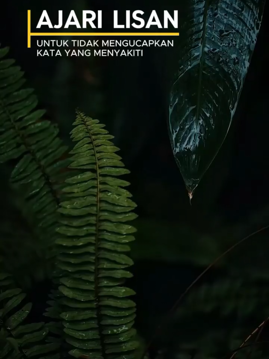 @Tulisan Cantik
