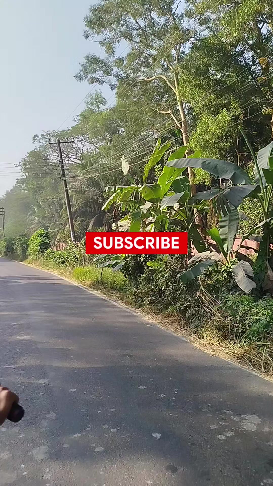 @Rubel Shorts Vlogs