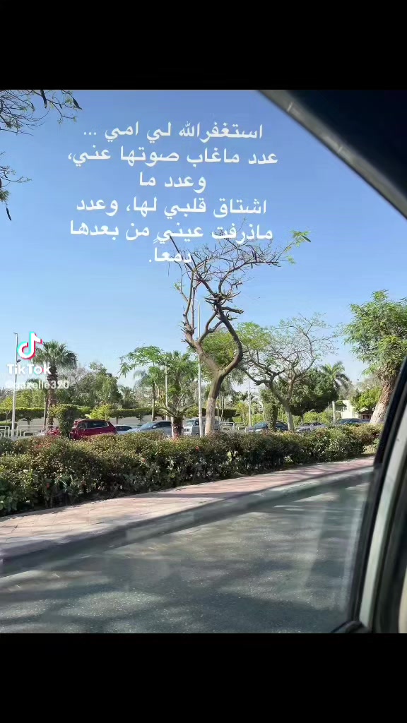 @Roses Al-Abdallat🥰