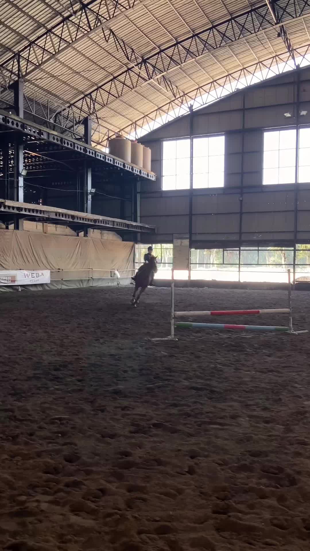 @Emporium Horse Club