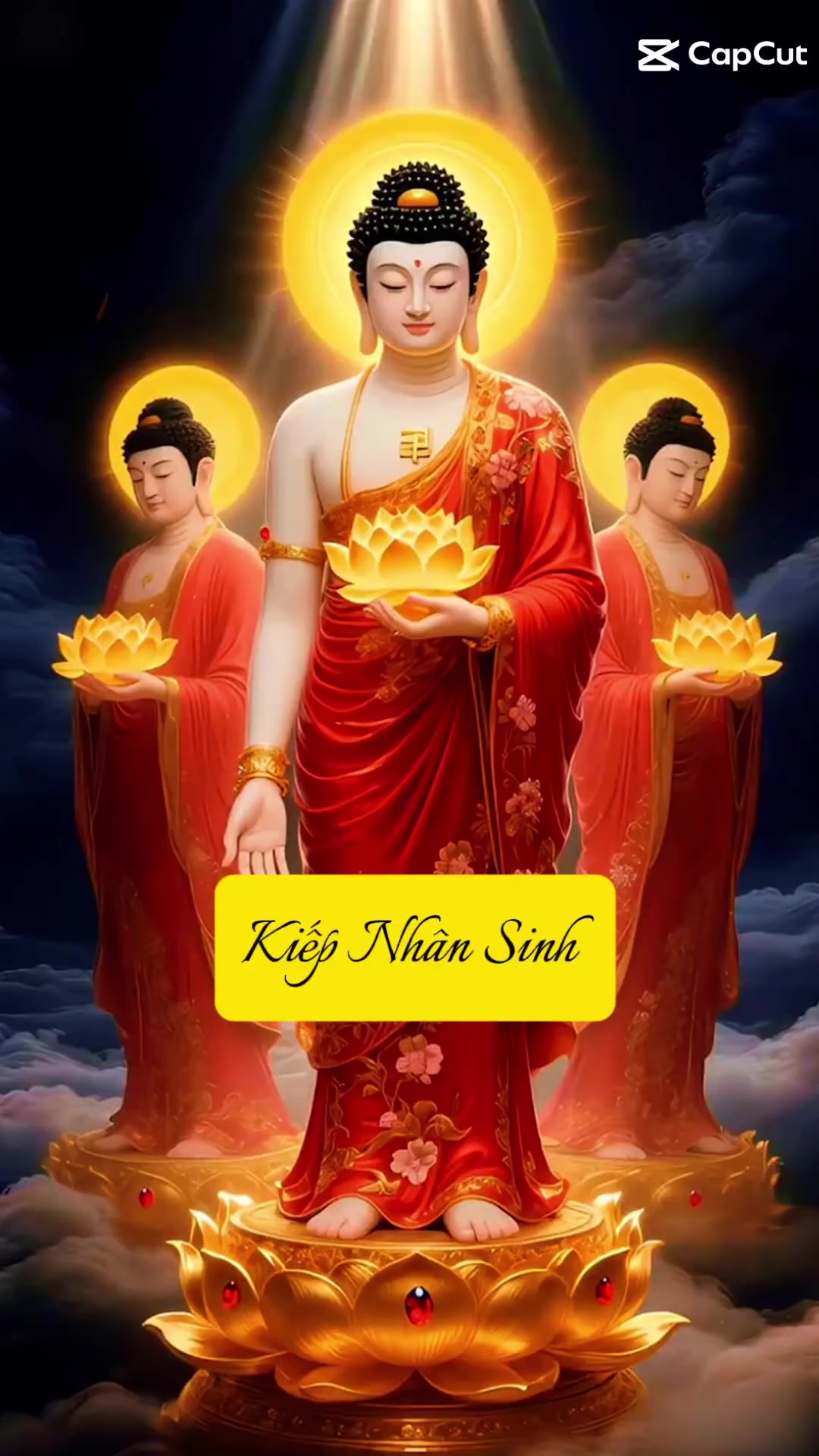 @nguyễn dung