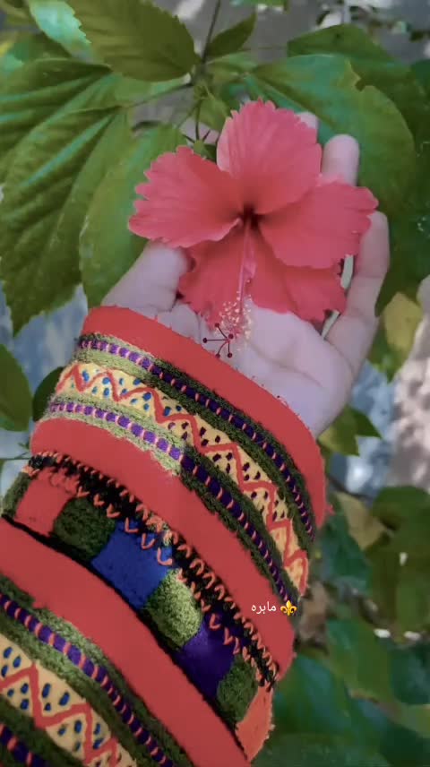 @ماہرہ ملک⚜️🪽