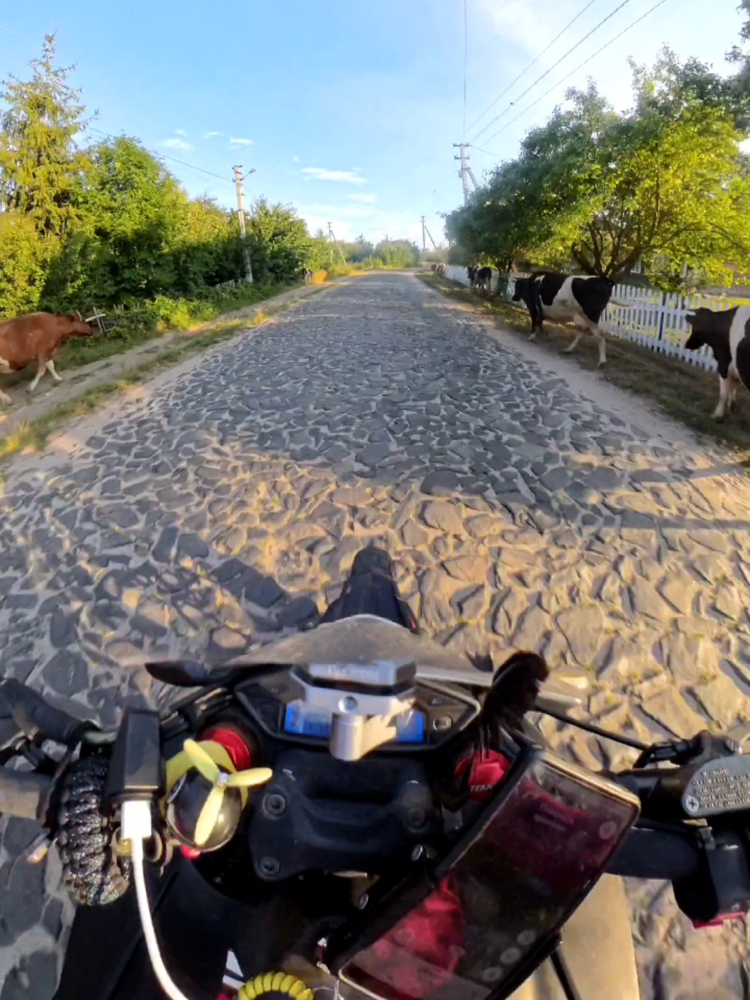 @Наталя🏍️🌳🌊