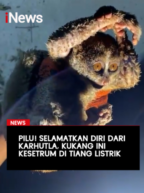@OfficialiNews