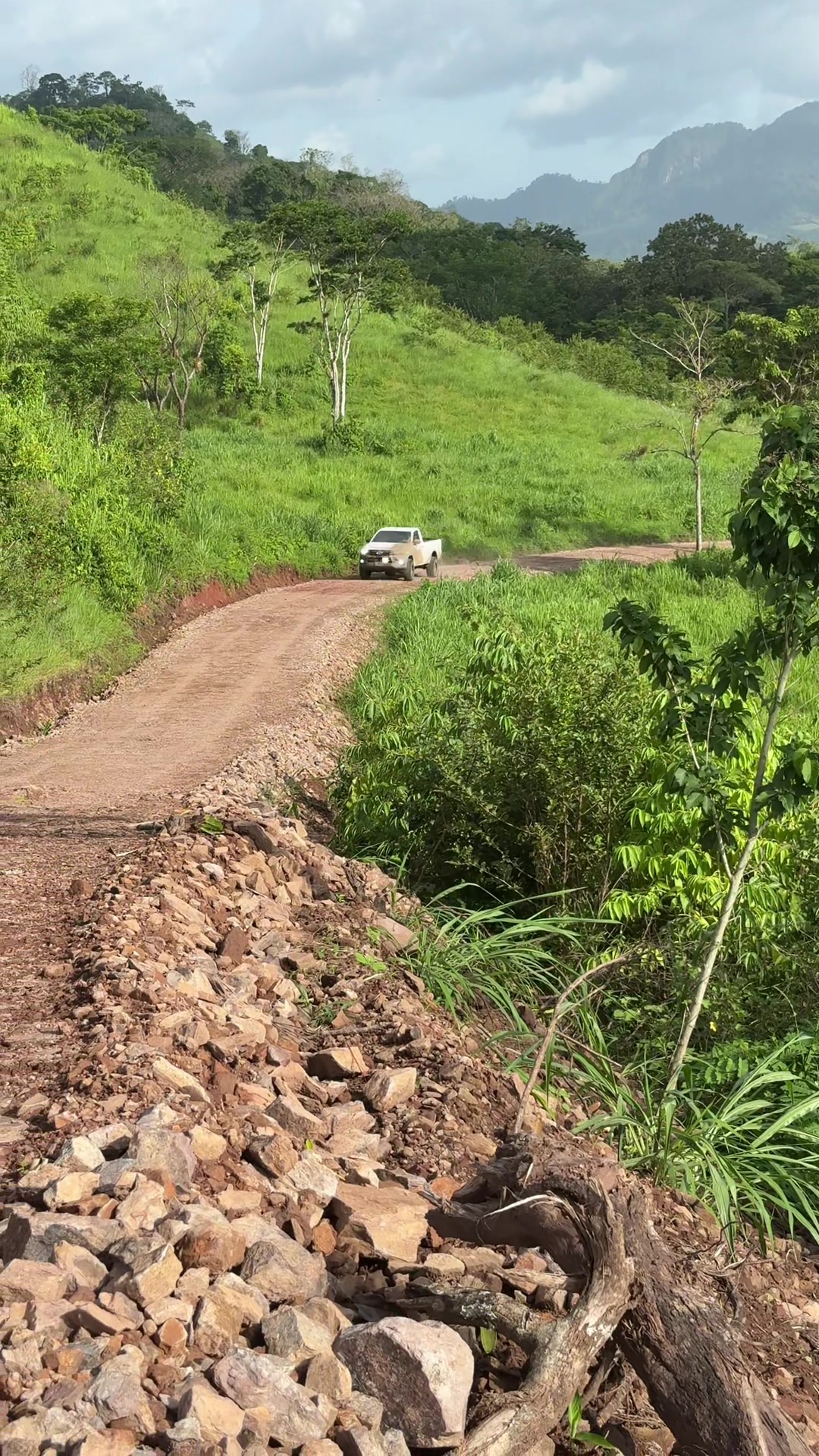 @el de la gris