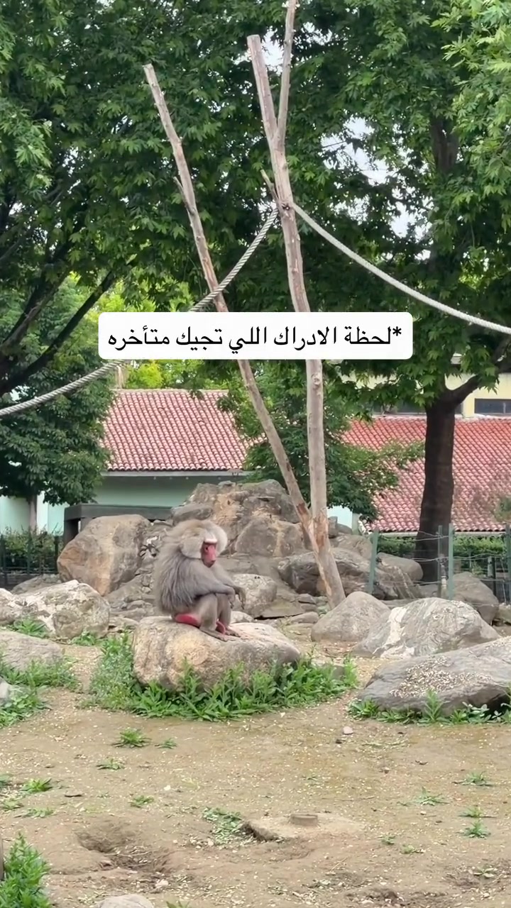 @عشق لاينتهي