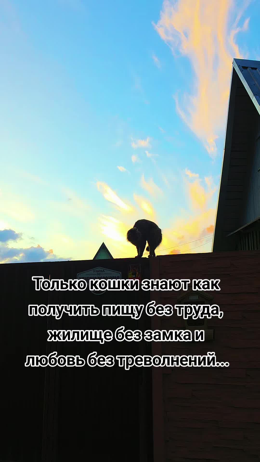 @Lesya Bronzova